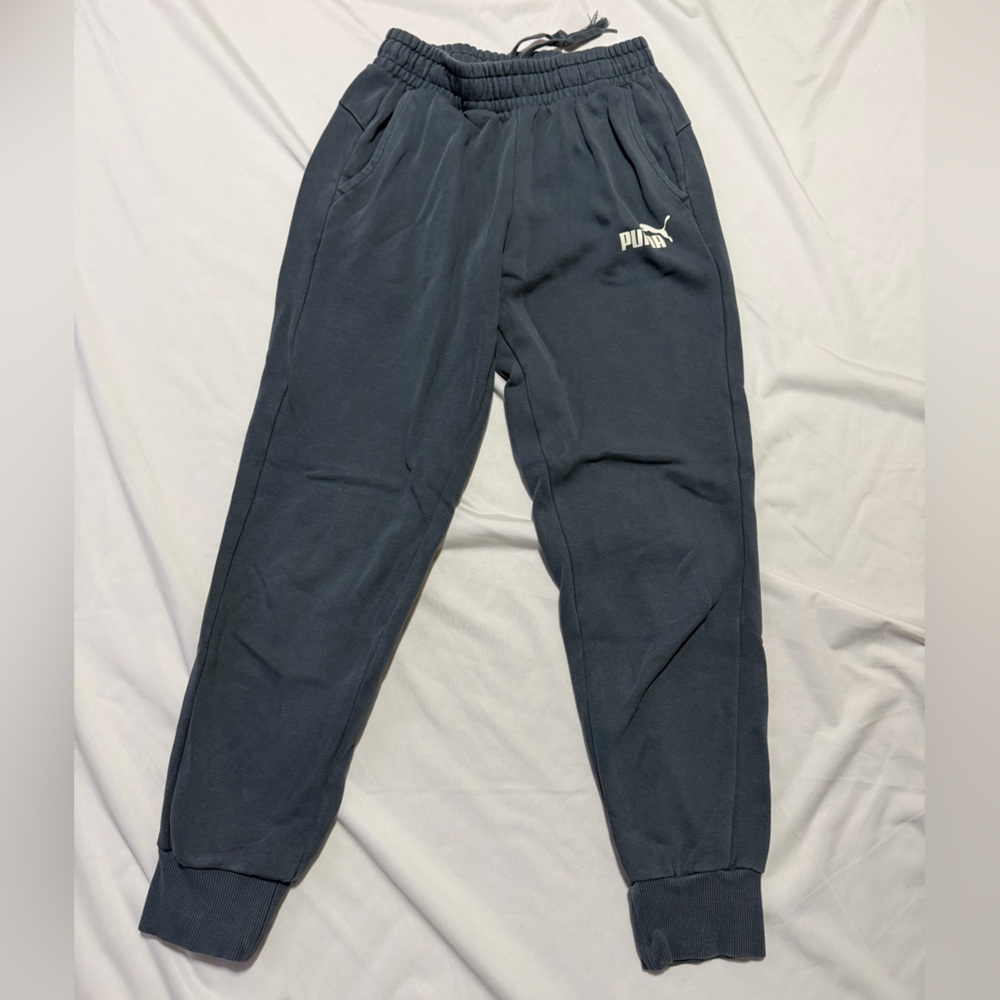 Puma Gray-Blue Joggers